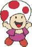 Toad